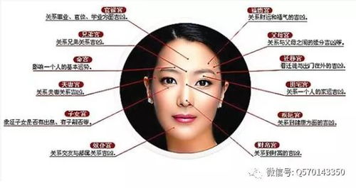 眉头粗重：理财能力与豁达