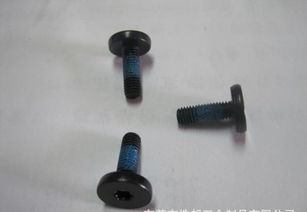 螺纹指纹与个人特质