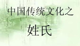 ：寻找属于你的独特韵味