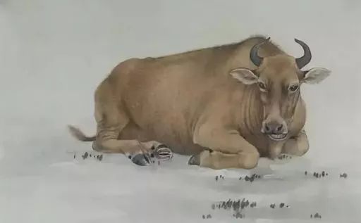 属牛的人为何总爱钻牛角尖？