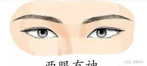 法令纹与腮骨：领导力、 品行与生活态度的深层映射