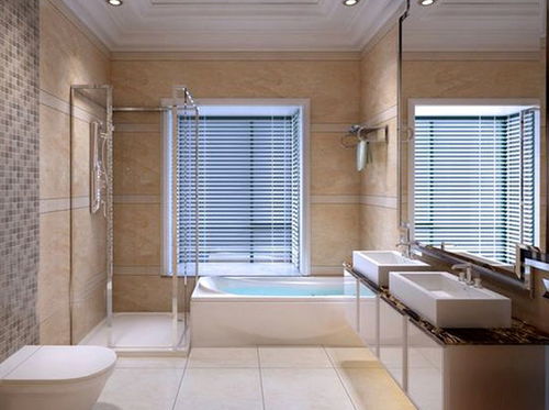 （二）环境净化措施