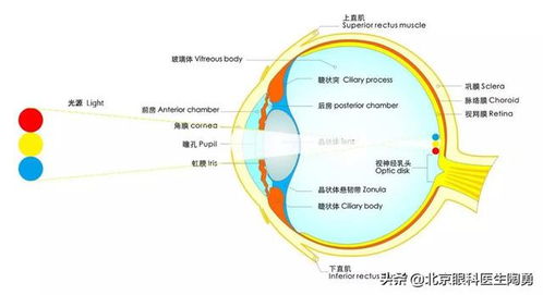 三、  空间范围拓扑结构与视觉冲突的规避策略