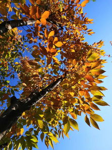 二、 名字随意取（随手写）