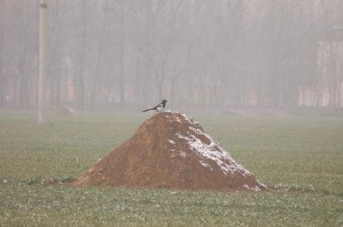 2026年12月修坟合适吗？2026年2月修坟最佳时间是什么时候？