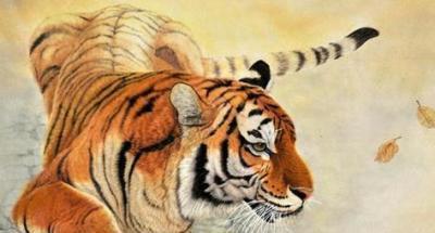 属虎男人一生事业如何，哪个月出生的属虎男事业发展最好？