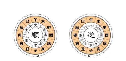时柱食神旺盛：晚年荣华富贵的命理基石