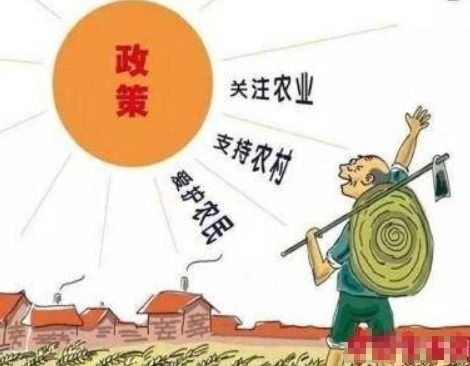 法治保障与产业协同创新案例