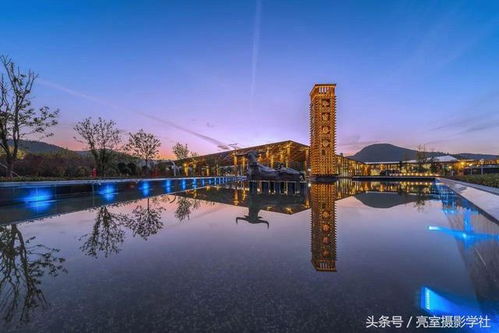 Day 4：总统府？去鸡鸣寺的“樱花之外”， 香火比游客更真实诚