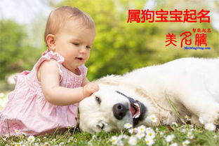 2018款狗宝宝取名大全有哪些好名字推荐？