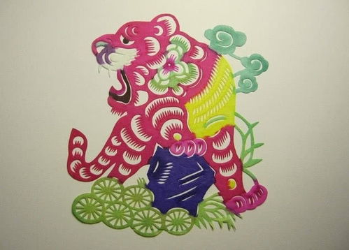 属虎：雪域之王， 威严不凡