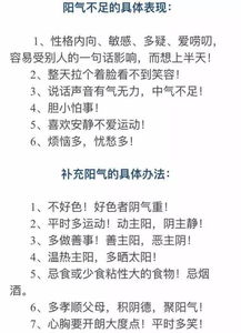 一、 阳气与运势：理论渊源与实证依据