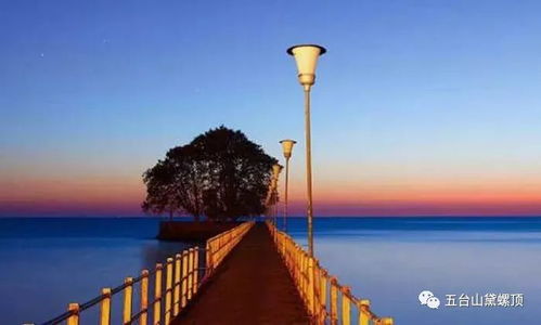 2.2 听觉混沌：自然声与城市嘈杂同框