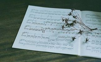 晚婚现象的命理成因与八字解析