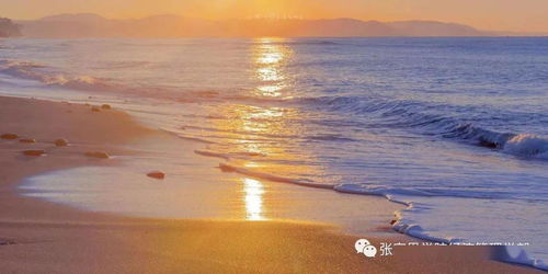 一、 星座性格特征与归宿需求的对应关系