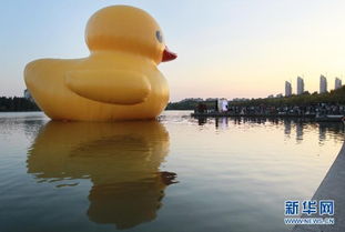 2026年最佳观鸭日期