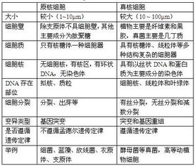 二、 铁口直断的核心方法与技术要点