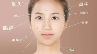 1. 平坦额头——智慧与才华不足