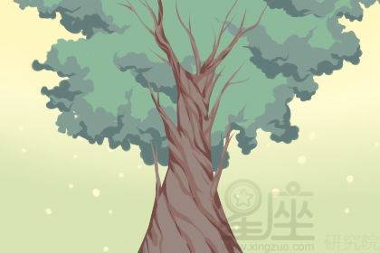第三章：文化底蕴解读——古典寓言与精神层面象征