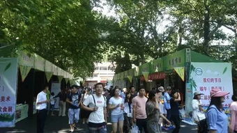 三条locals私藏路线：人均800玩转河南端午