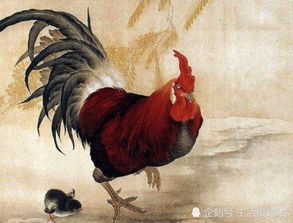 三、 生肖鸡：完美主义驱动下的疼痛放较大