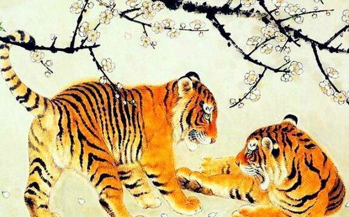 生肖虎的勇毅担当：逆境中的坚韧不拔