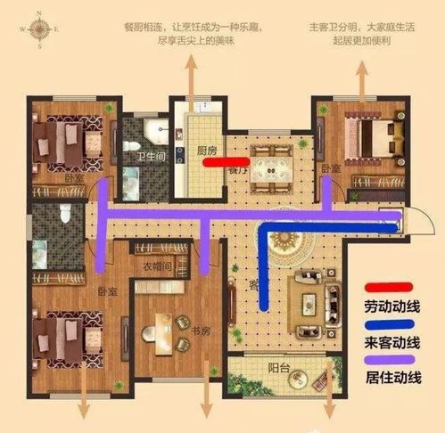 3．布局与动线设计