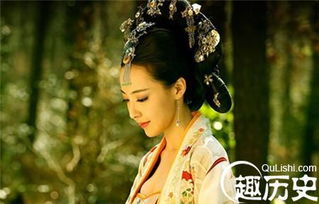 一、 探究背景与问题提出