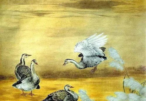 鼠年出生者：谨慎求变的困境