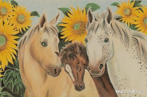 2. 属马者：弱连接理论视角下的人际升级策略