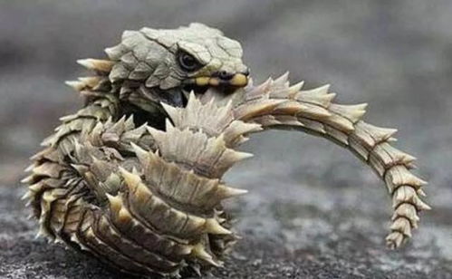 爆！善字最炸裂的名字TOP20