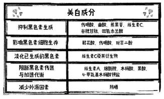 黄黑皮名字评分系统