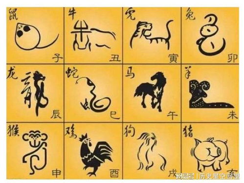 2.1 生肖与性格：鼠（摩羯座）、 牛（水瓶座）、虎（双鱼座）...