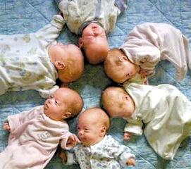 八字看多胞胎的日柱特征有哪些？