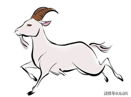 2026年属羊女性运势如何？运势详解是什么？