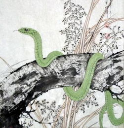 属蛇和马的运势如何，能否详细描述一下这两个生肖的运势特点？