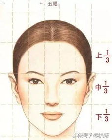 耳朵大小——辅助比例协调的重要因素