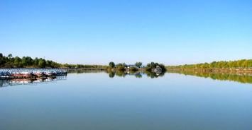 大庆黑鱼湖：2026年必去的魔幻之地！星座运势与黄历全解析