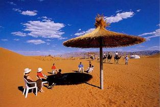 武威到沙坡头旅游专线攻略：一场说走就走的“迷之旅行”