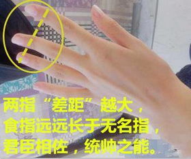 三、  干扰因子解析：妨碍因素及其应对逻辑