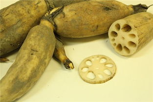 挖藕？这破梦到底啥意思啊！