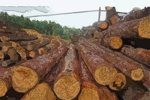 梦见用木头铺路预示着什么？有什么特殊含义吗？