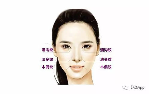 一、面部皱纹与年龄增长的关联
