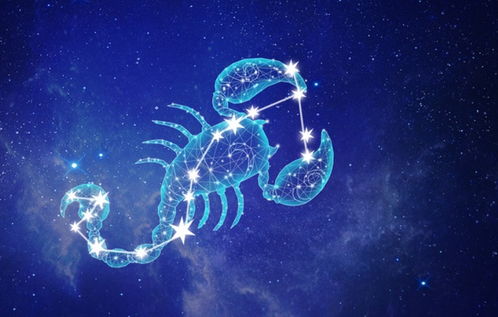 哪些星座总是坚持原则，从不轻易改变自己的标准？