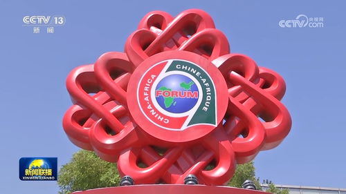 生肖兔：和谐共赢的人际关系