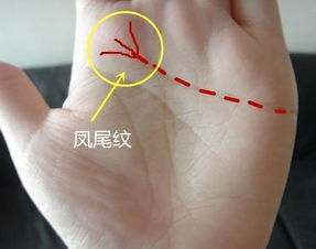 四、 命运走向之预测模型