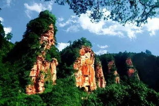 五、这是一场失败的旅行