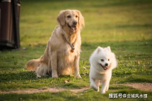 人杰地灵属什么生肖？人杰地灵打一动物代表什么？