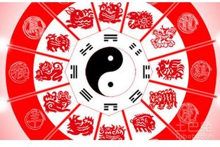 一、 生肖运势概述——以八字视角审视2025年的整体趋势
