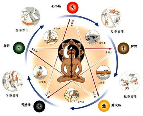 1.1 深长清晰健康线的正向意义